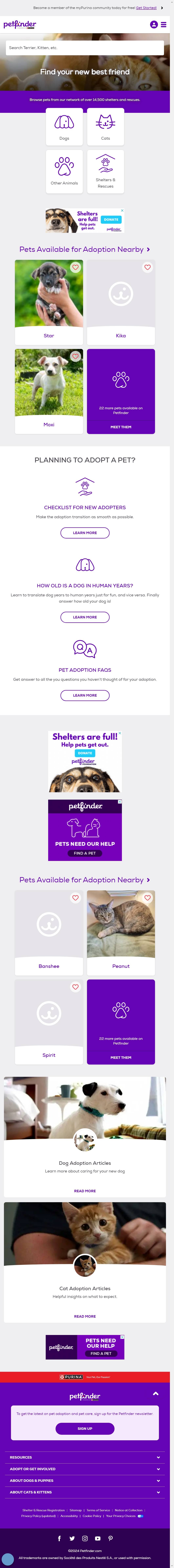 https://www.petfinder.com/ 